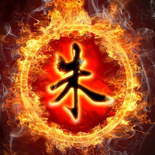 朱，赤心木也