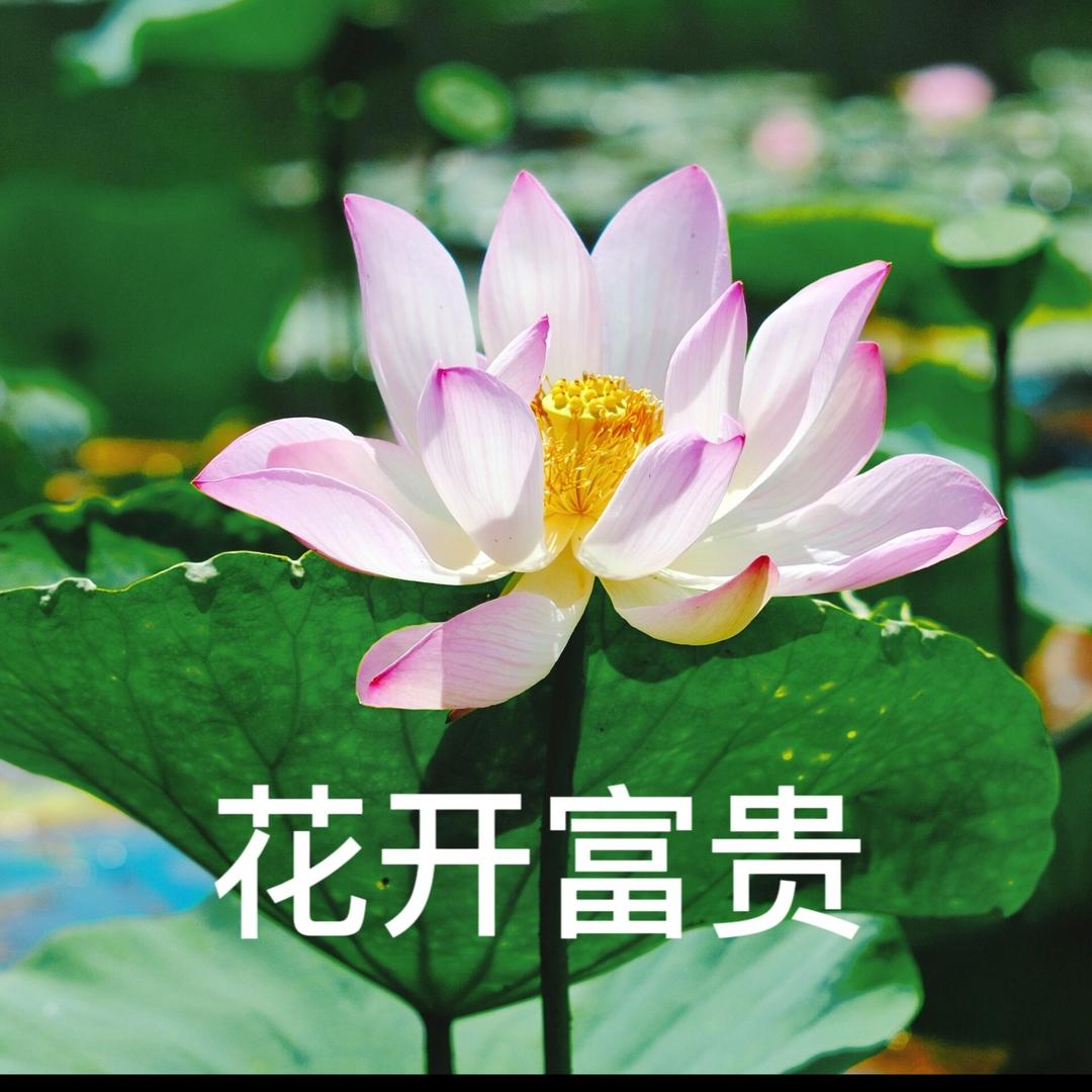 四季红精品女装