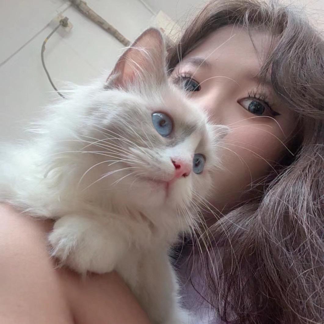 来福茉莉宝