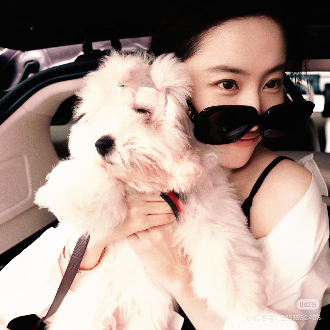 爱喝酸奶的鸭鸭～