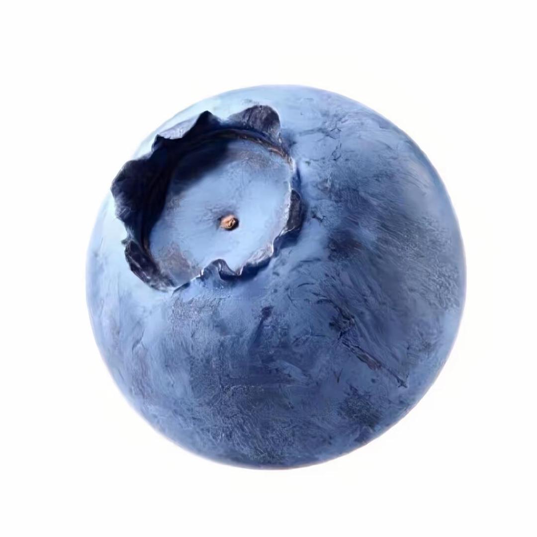 蓝莓🫐脑袋Gin.