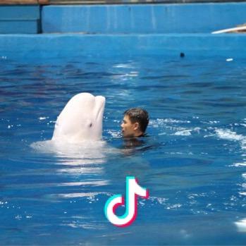 海洋🐬🐬