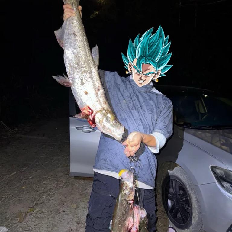 夕阳下奔跑的猫