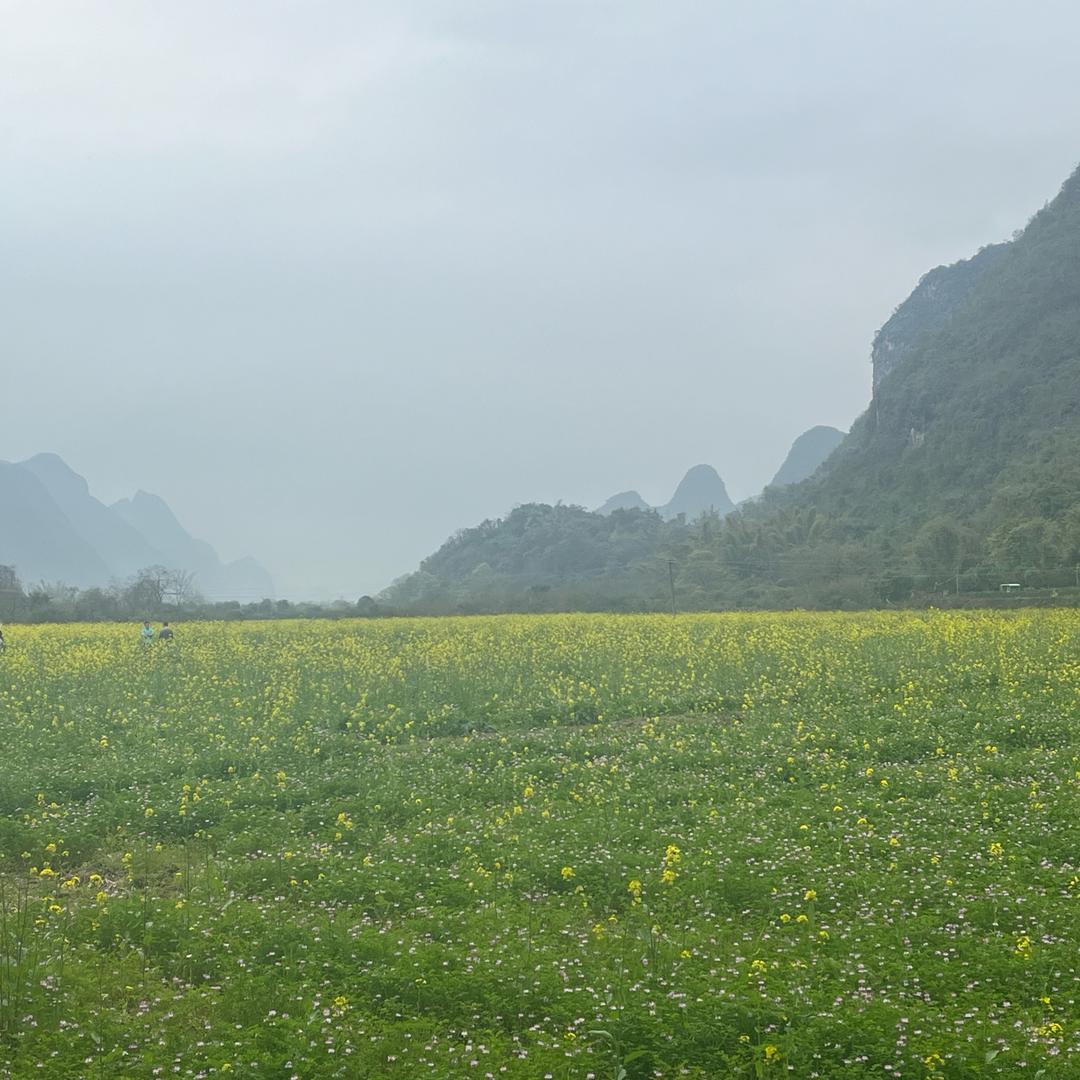 大师兄