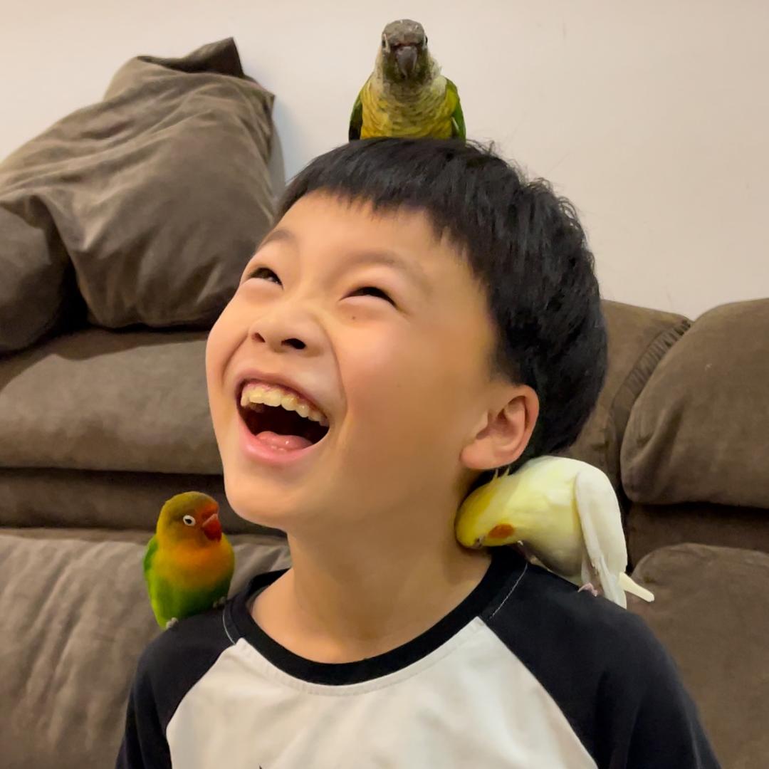 飞行员杰克