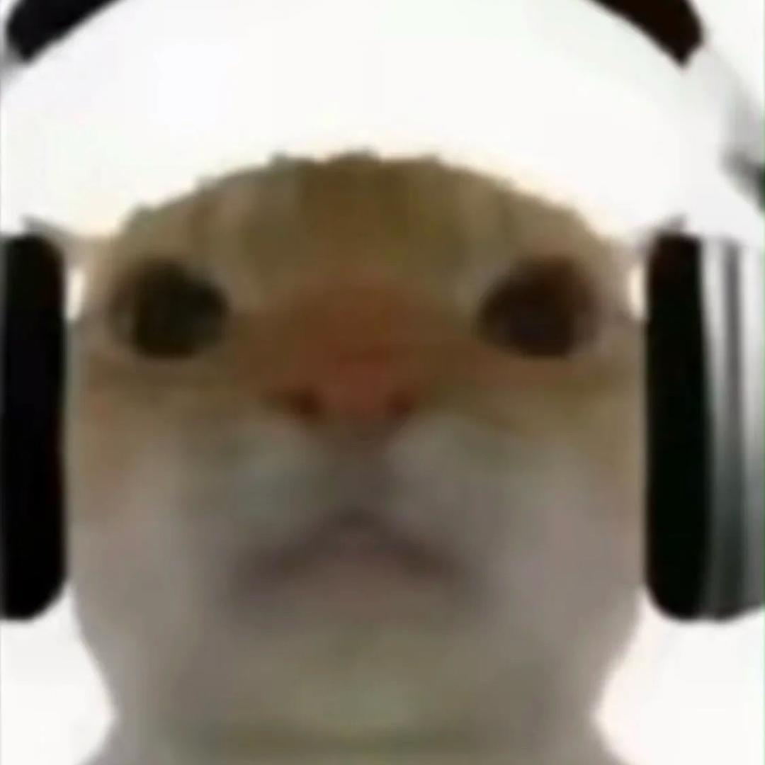 秋子