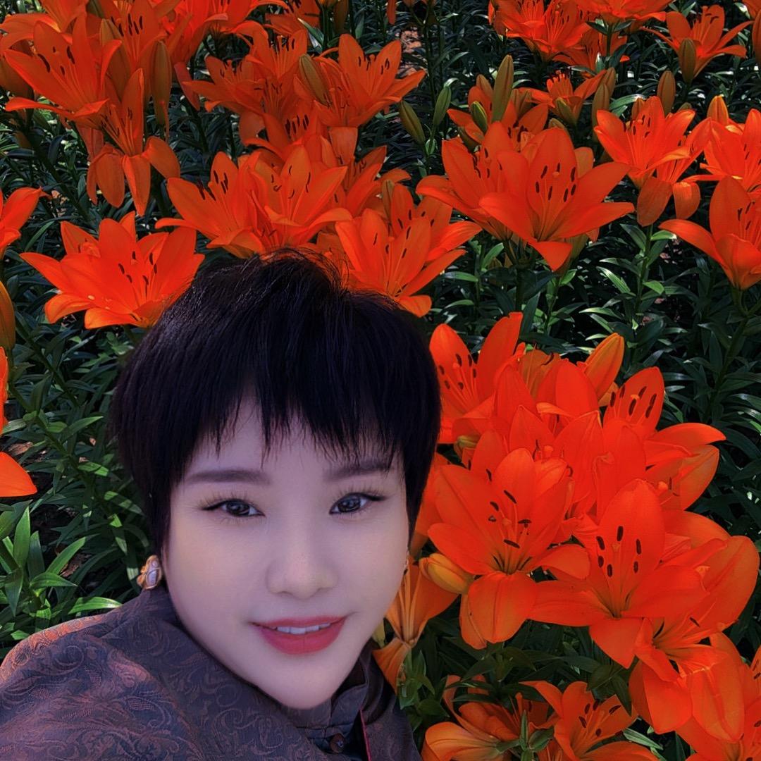 淑菲