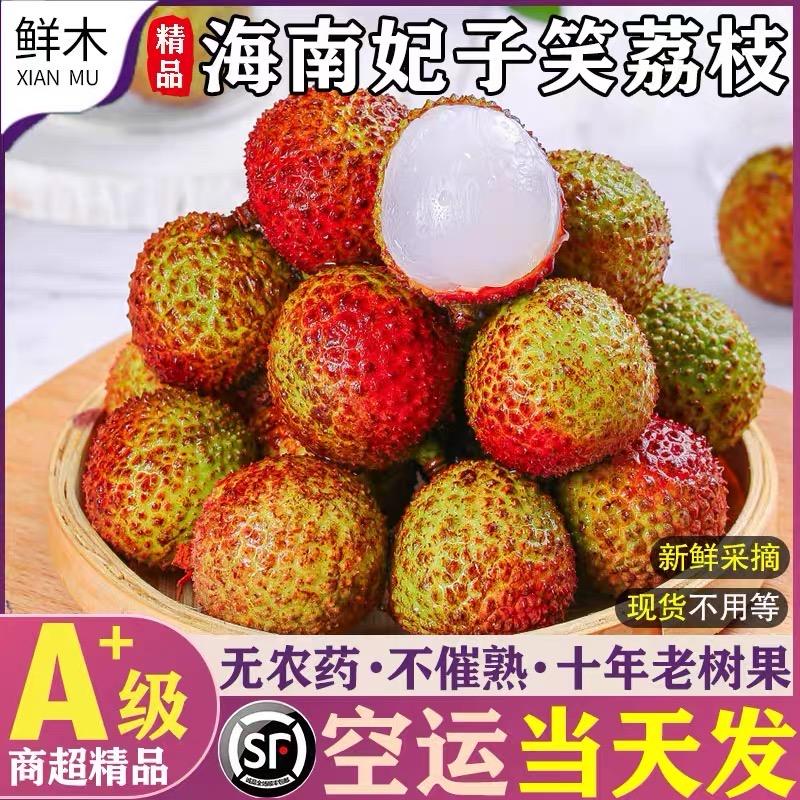 海南妃子笑