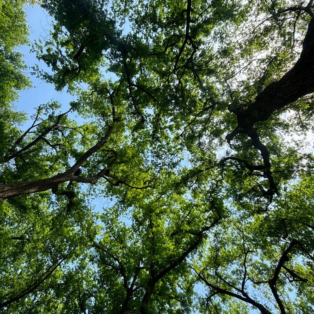 全屋定制→阿南