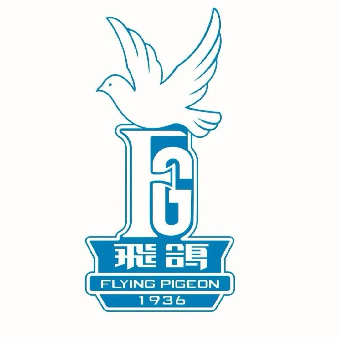 飞鸽天任科技开发公司