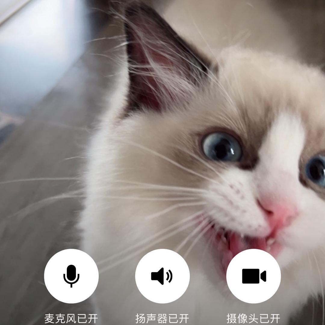 就是不好吃