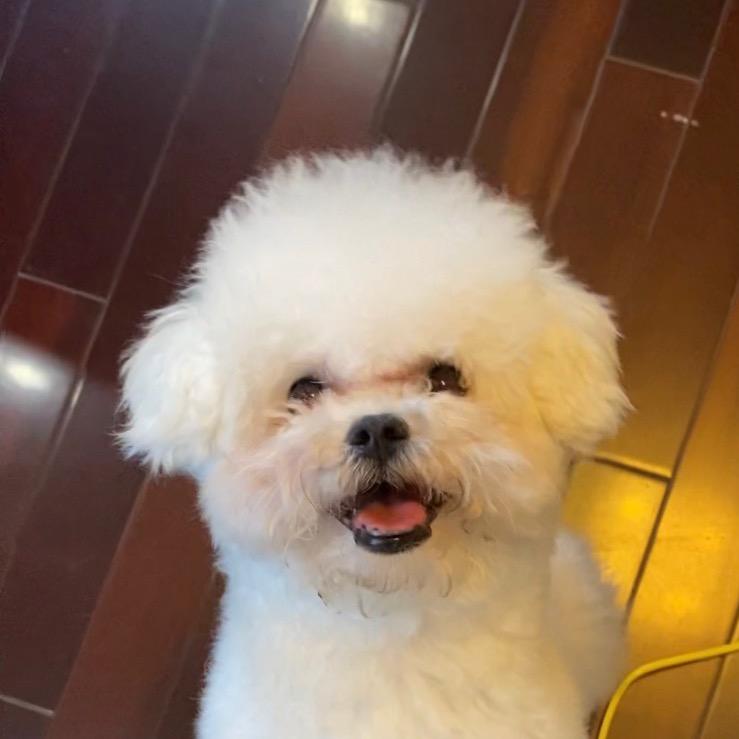 我就是粥粥