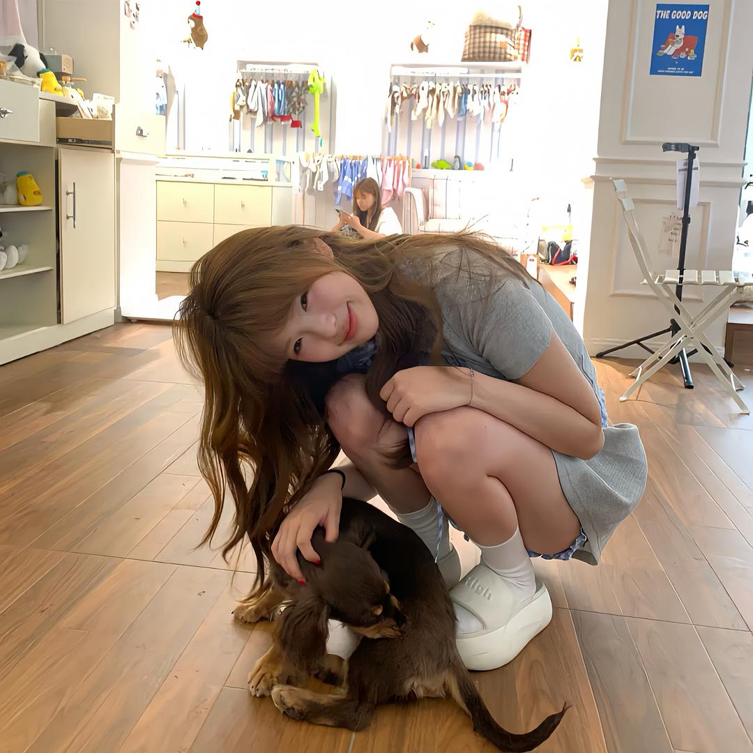 Linllin（见过姚琛版）