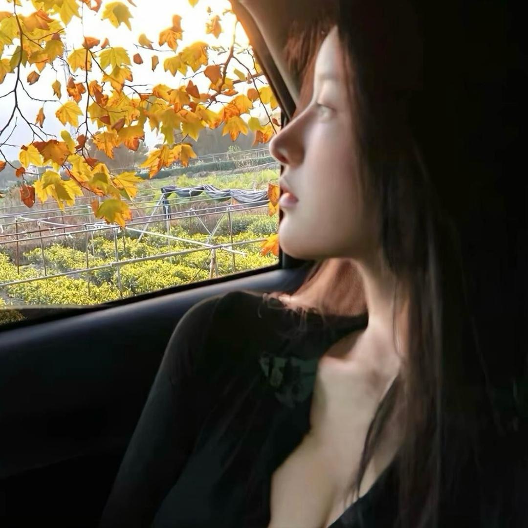 没头脑的小吴🤍