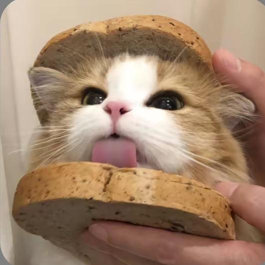 靖