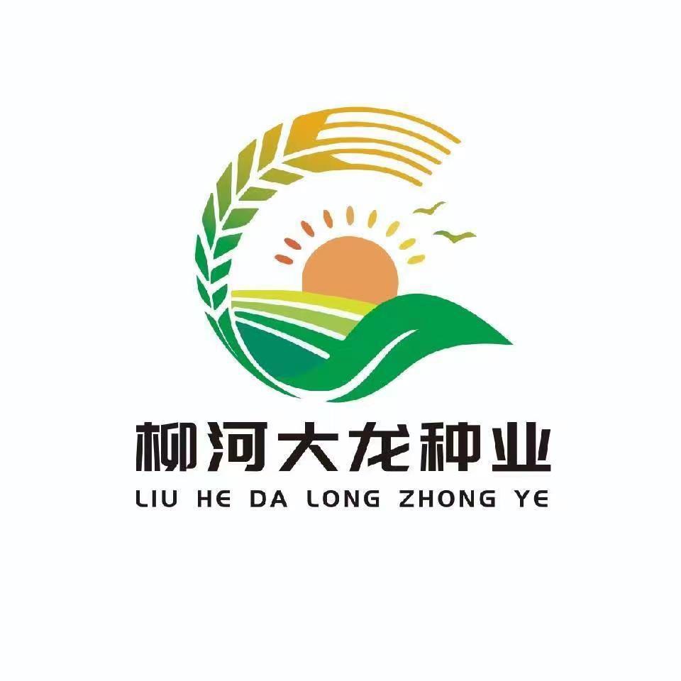柳河大龙种业天农九