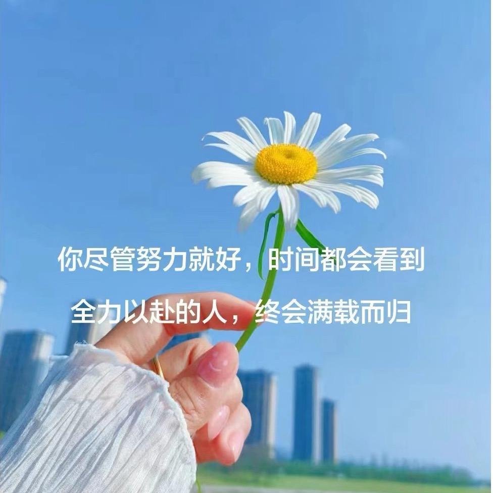 淇雯