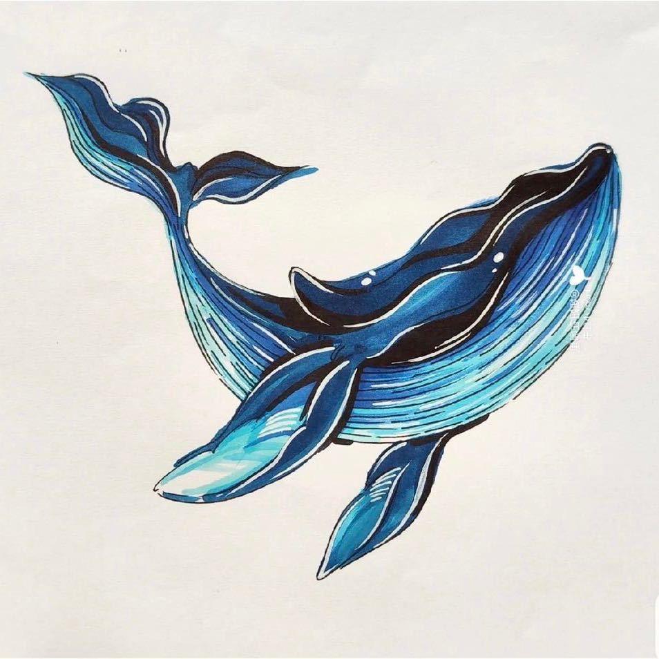 🐳鲸起鲸落