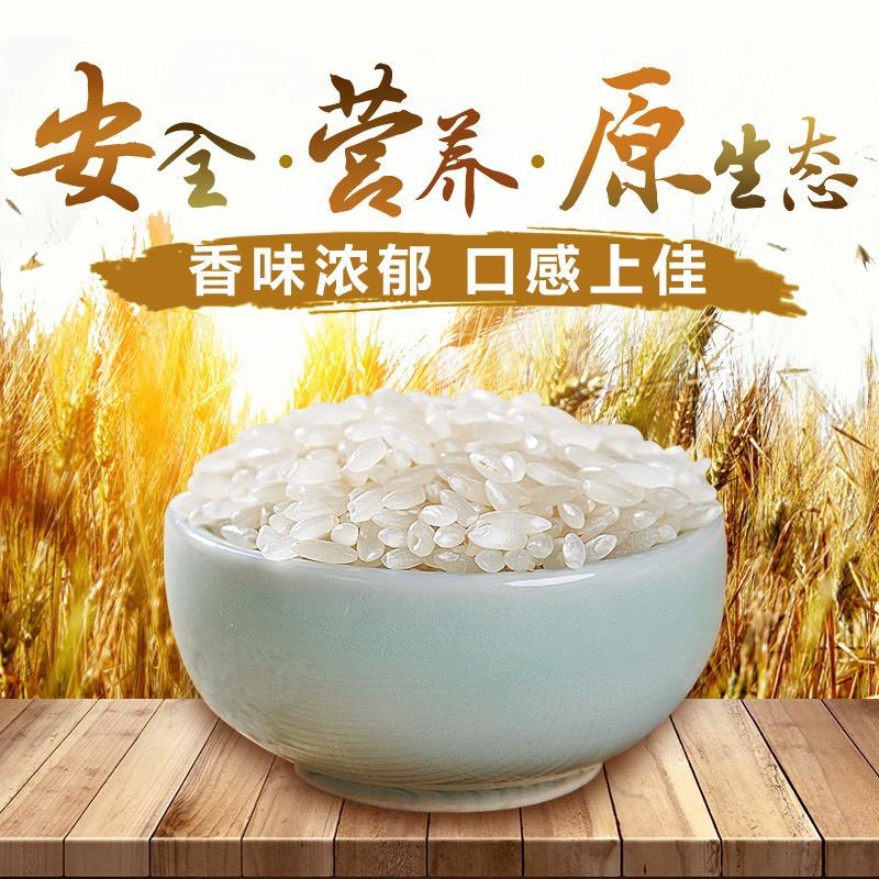 高州鲜香农家米