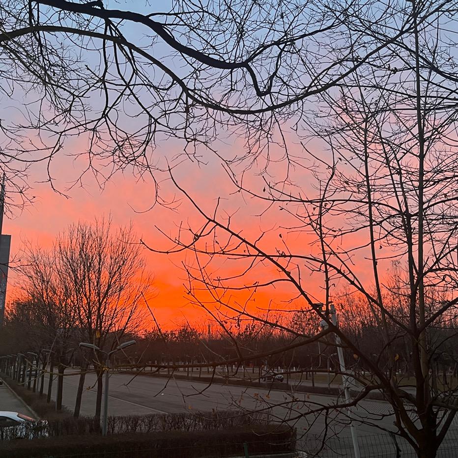 农村坤哥  【为梦而行】