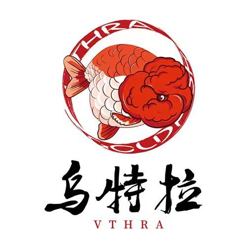 乌特拉兰寿金鱼