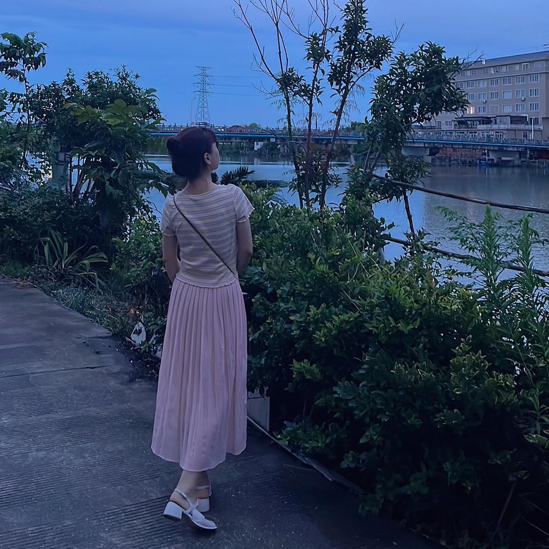 莫莉花