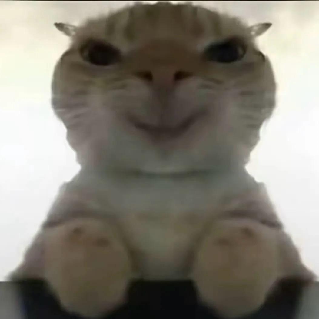 啊啊啊啊