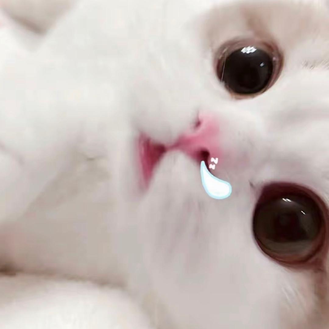 小羊u