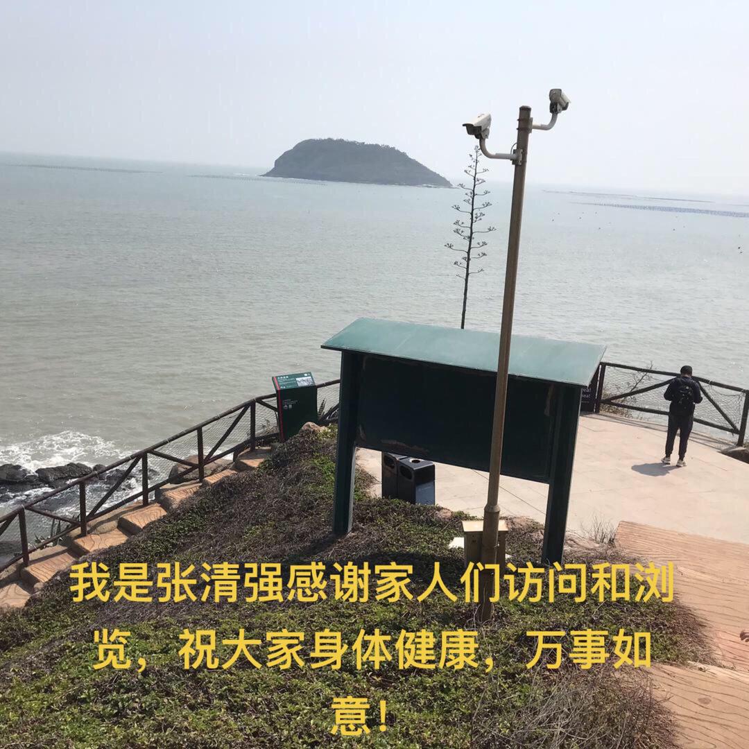 张清强