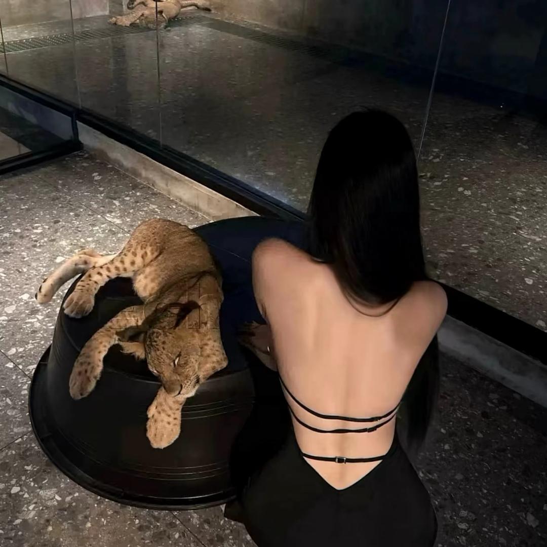 ︍︍