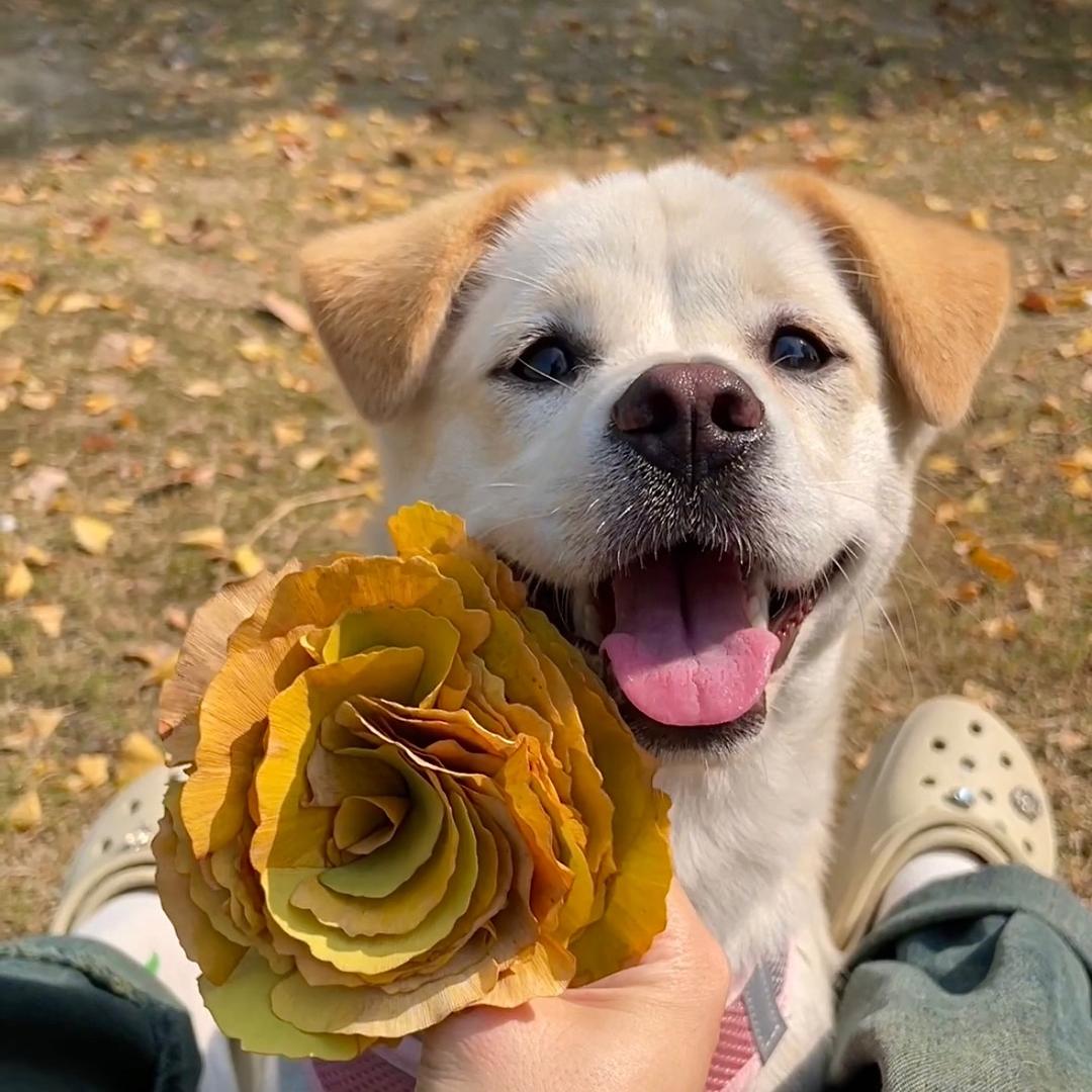小葫芦芦芦