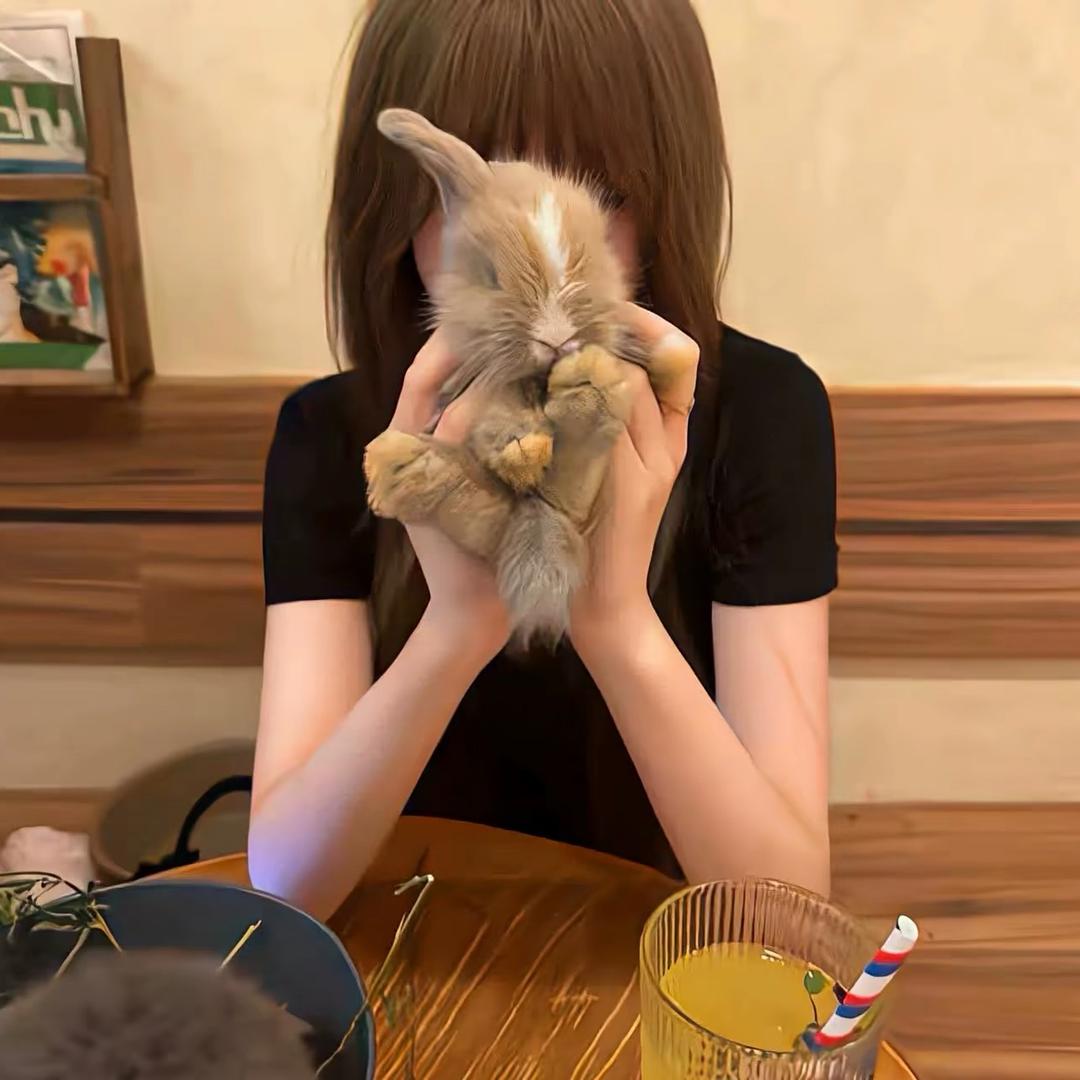 小小佳