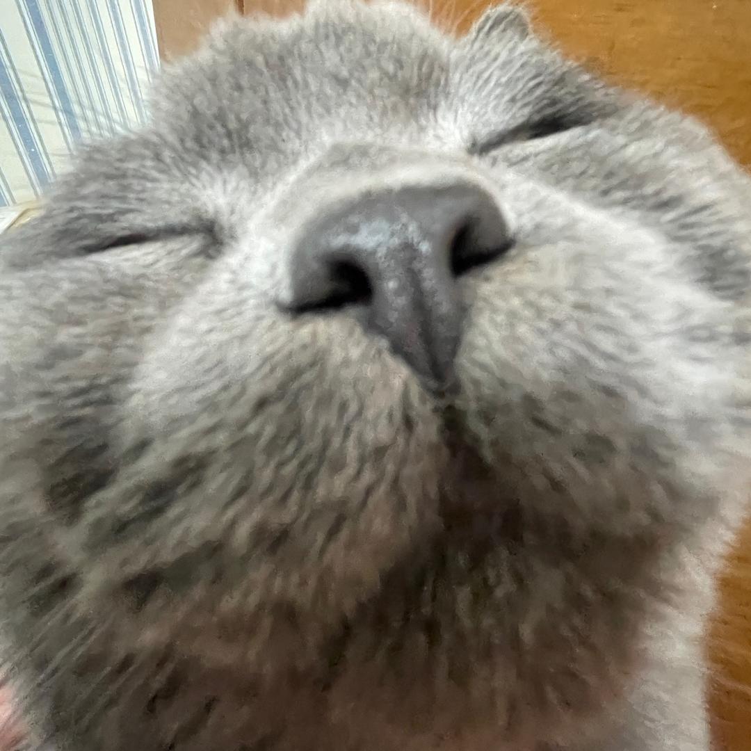 任务是活着
