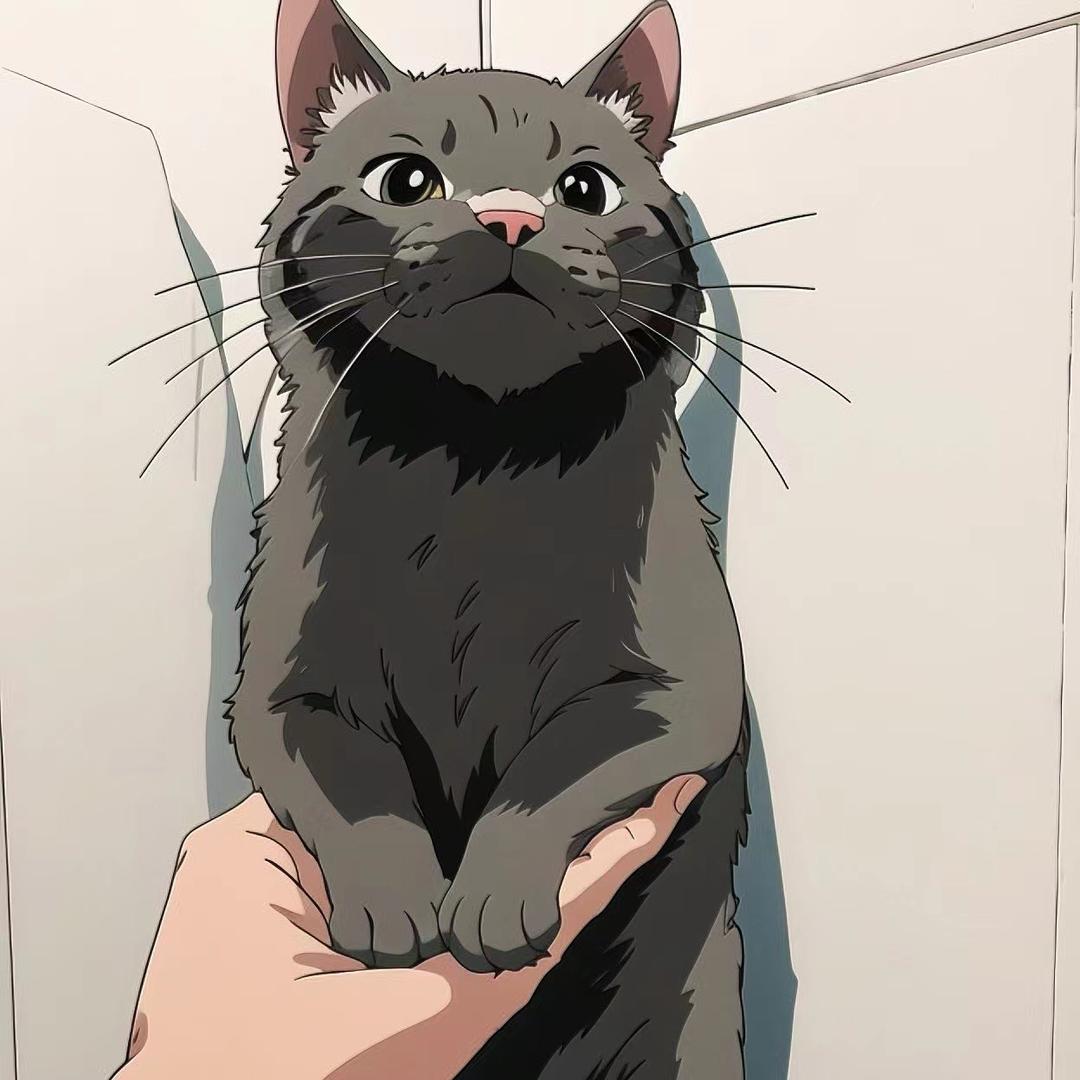 知许         🐱