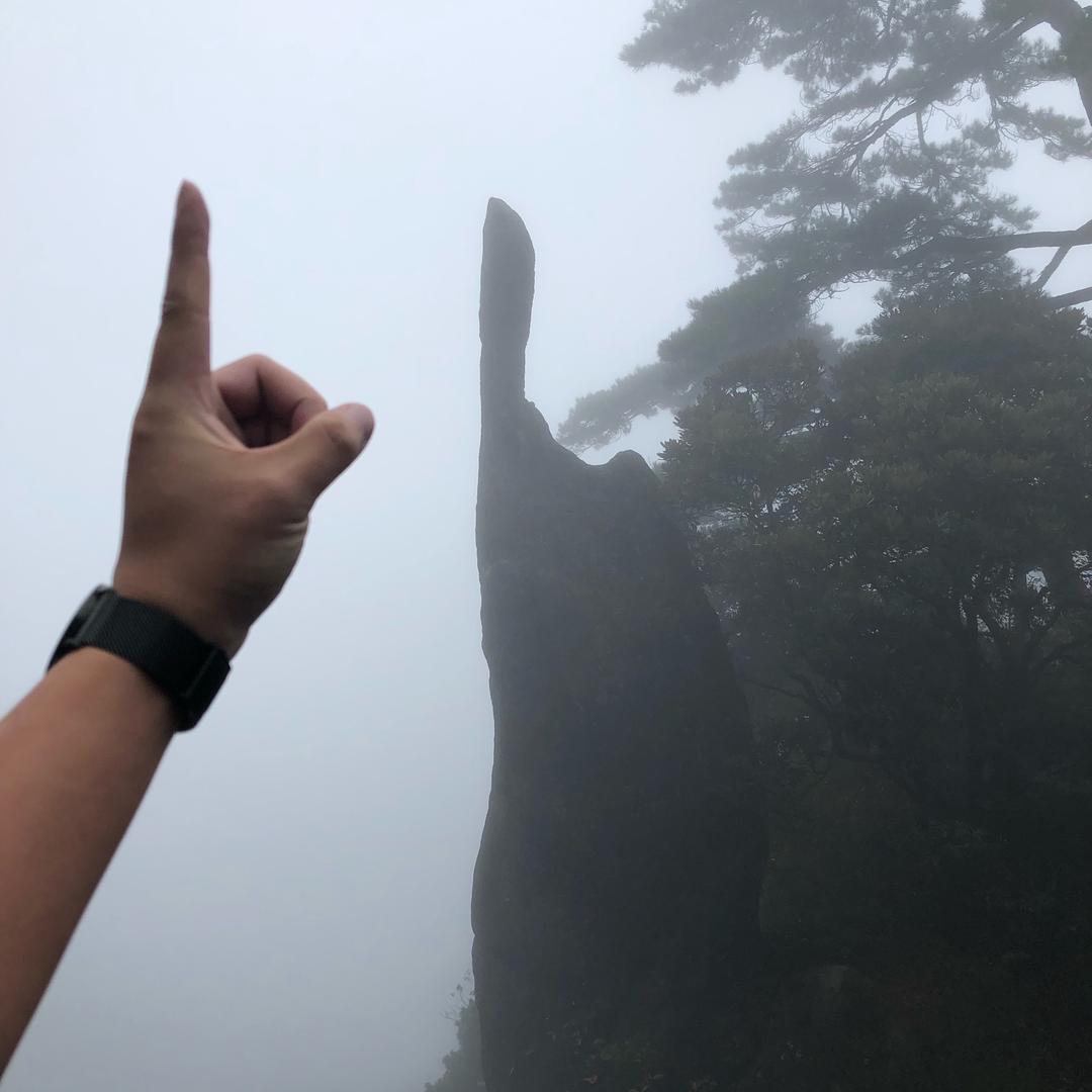 醉城