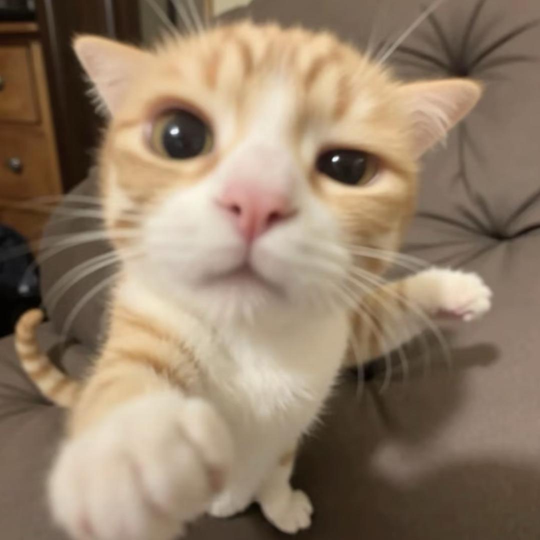 好啊