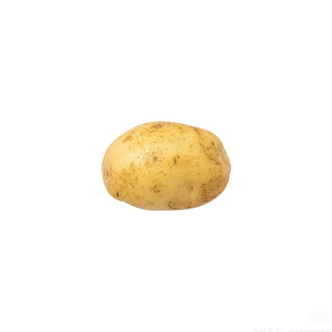 沙发土豆人