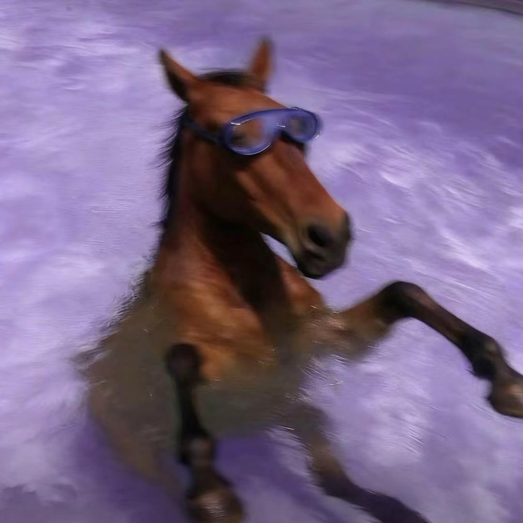 Kiki（见过🐱版）