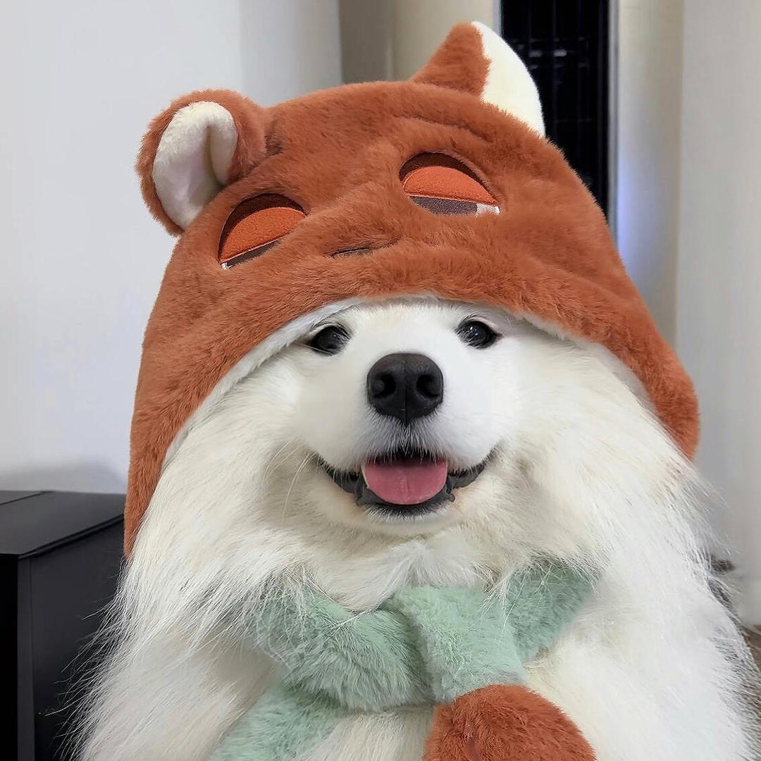 怪你老公太迷人