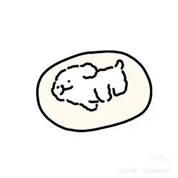 🐼bao