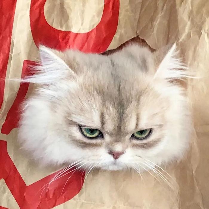 今天还是啦啦啦