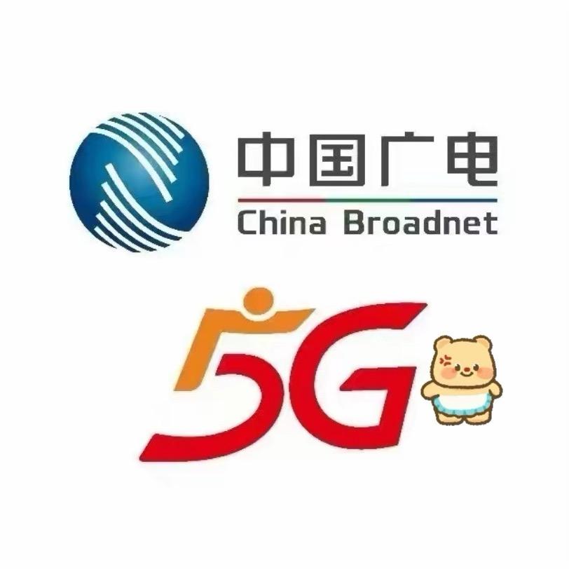 中国广电流量卡线上厅