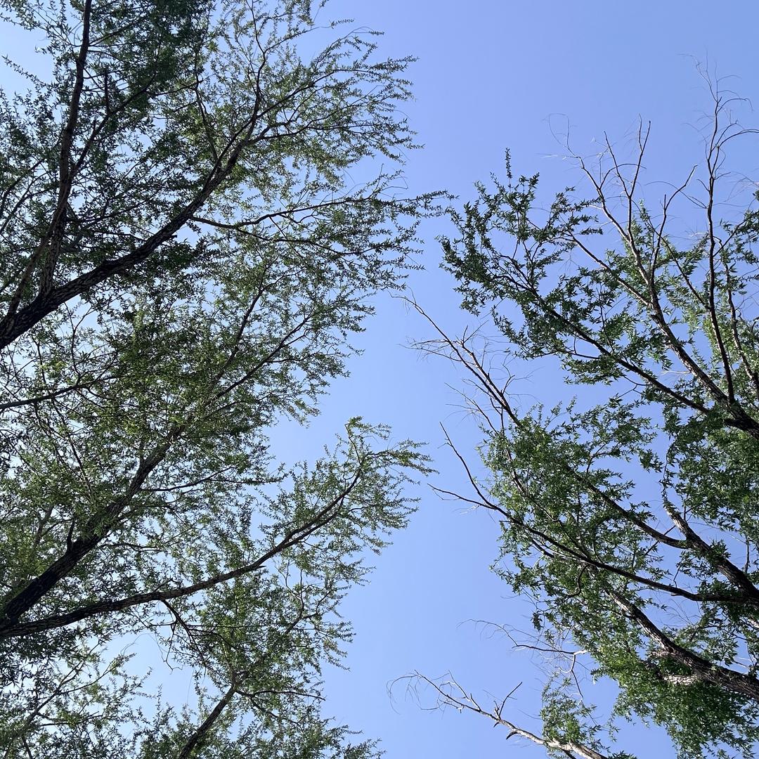 萤夏🔥