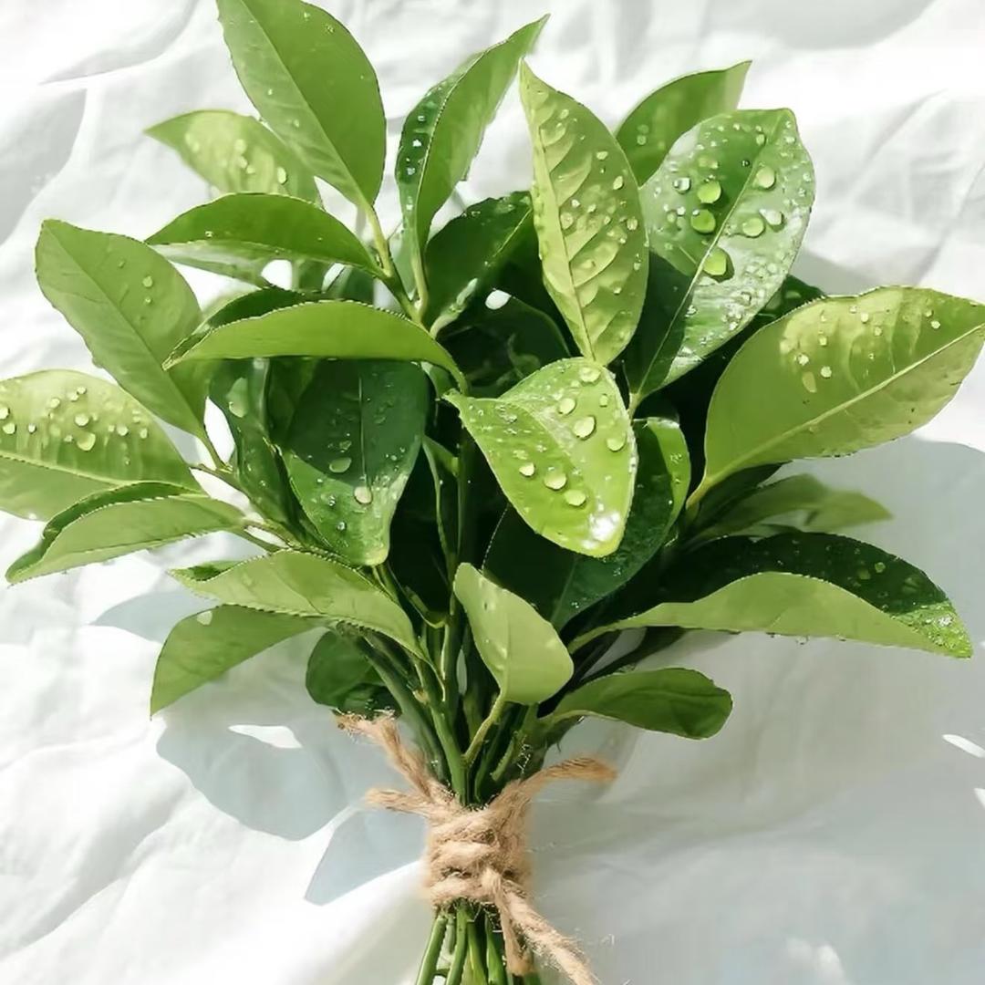 听এۣۖิ说🍬很꧔ꦿ甜