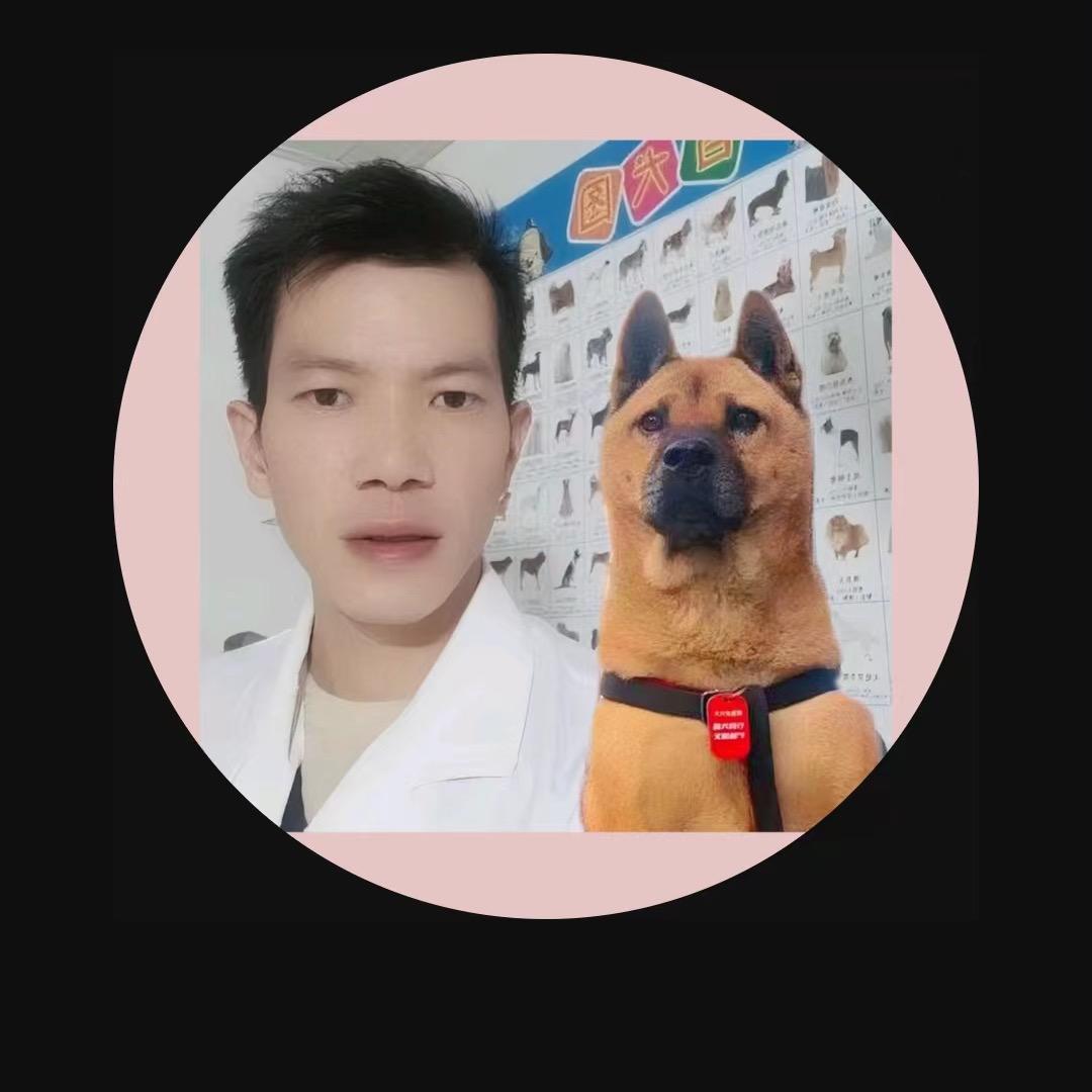 被狗骂五年的兽医