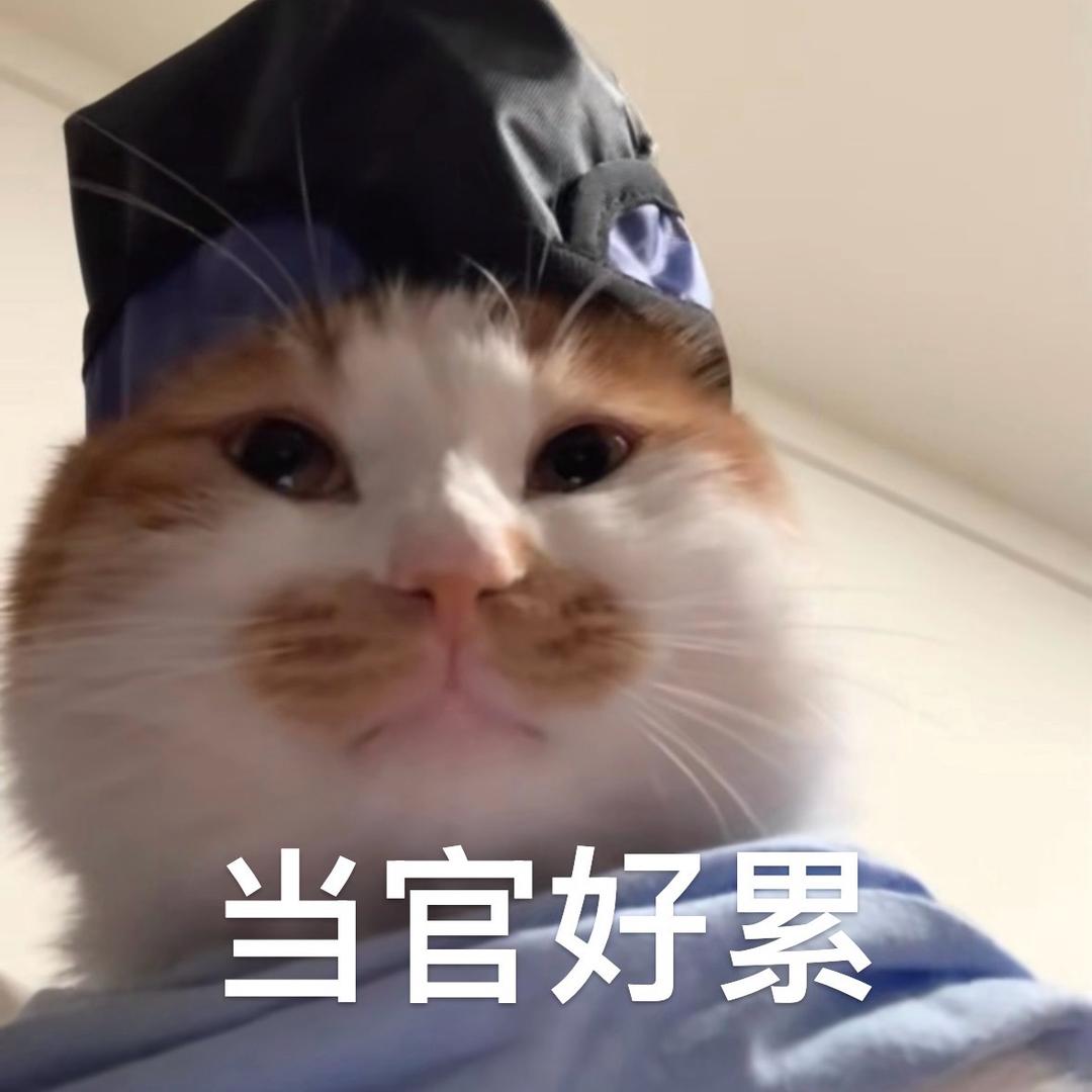 喜欢沸羊羊