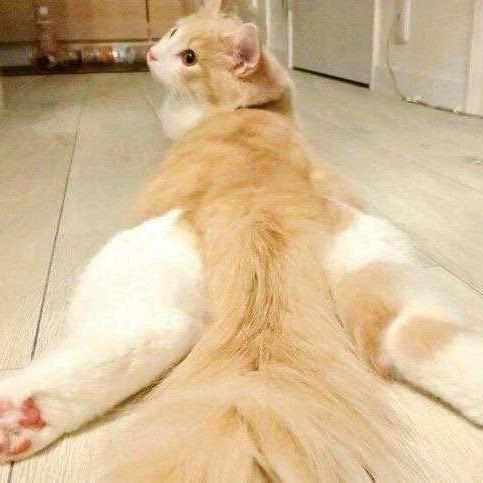 汐
