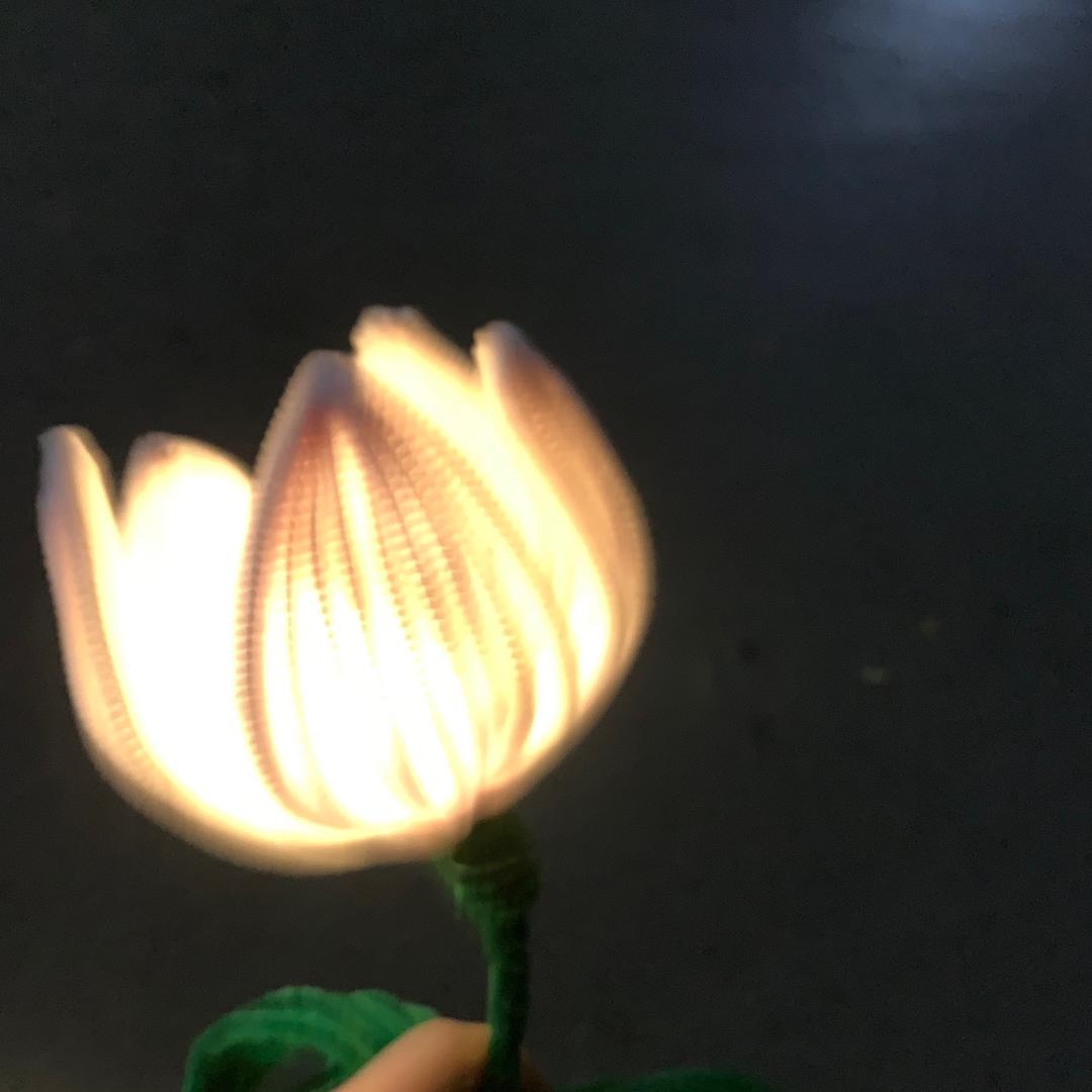 筱琳