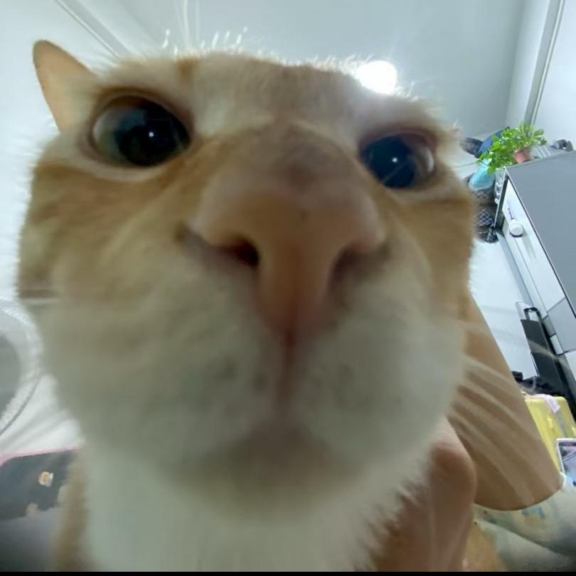 凯凯(三角洲行动)