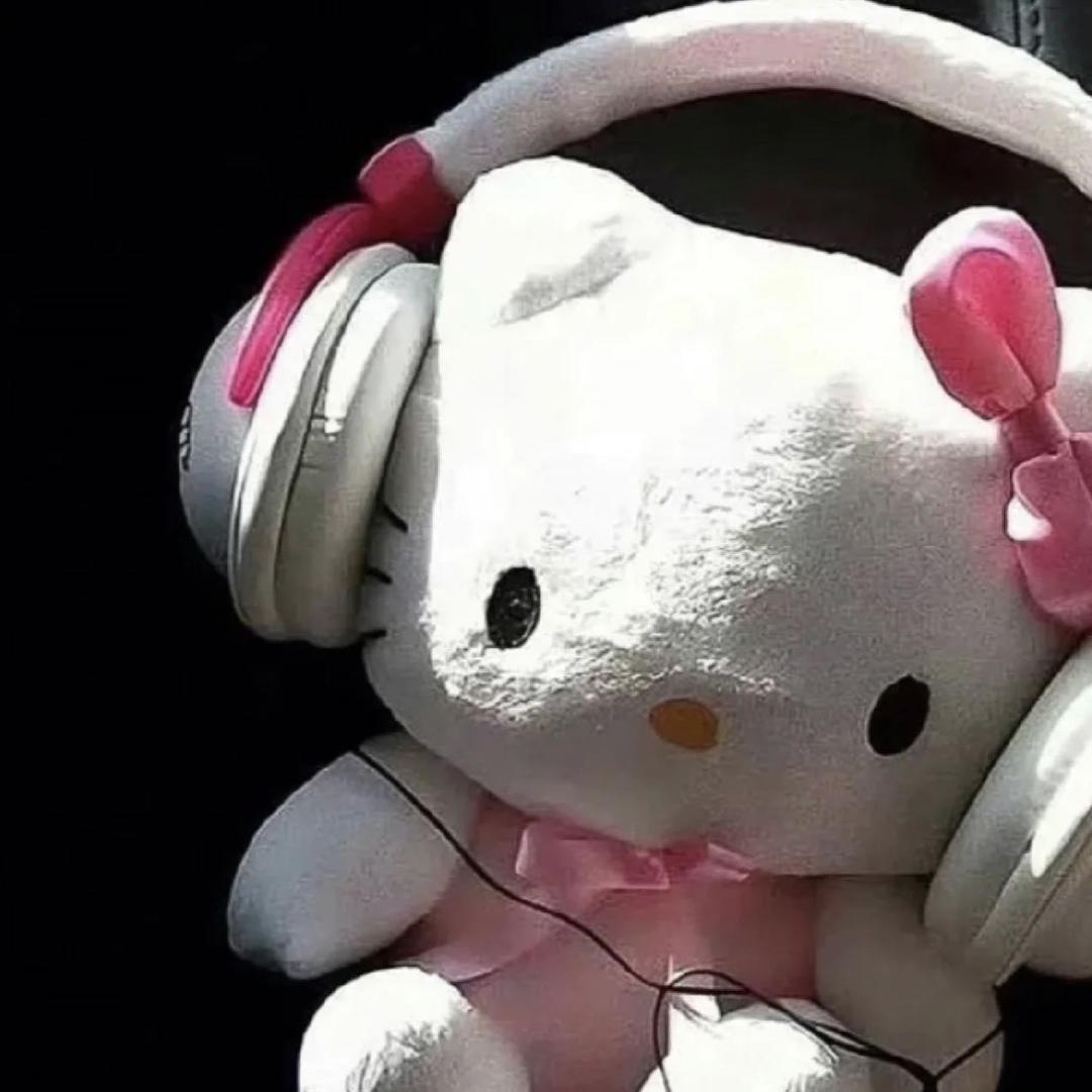 起司我了